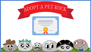 Pet Rock Adoptions